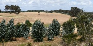 Read more about the article Holland Loop PTY LTD – Dardanup West